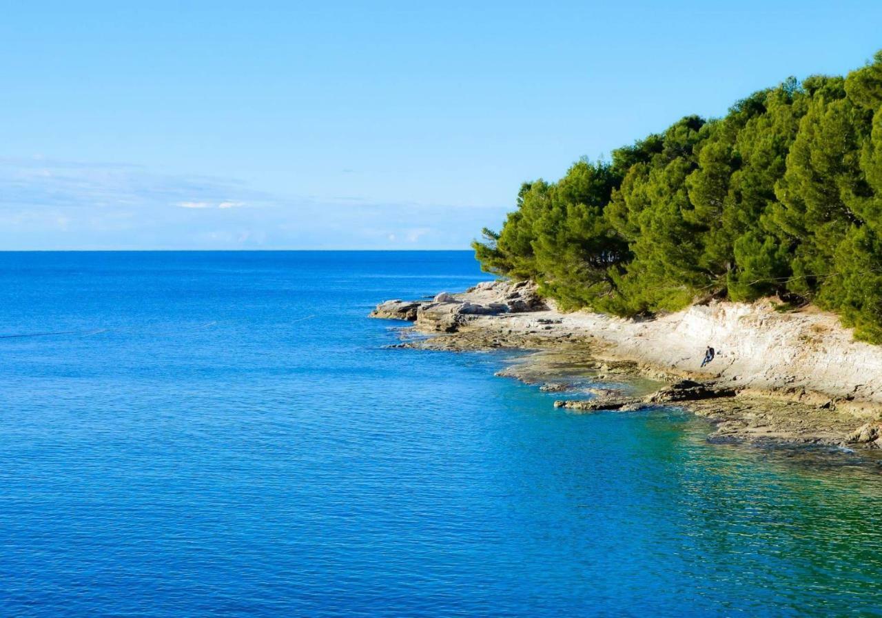Sunsplash * Pula